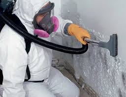 Mold Removal for HVAC Installations in Loretto, PA